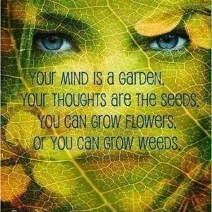 Meet your Posher, Marcia